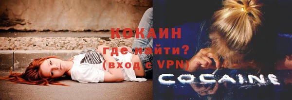 ешки Бородино