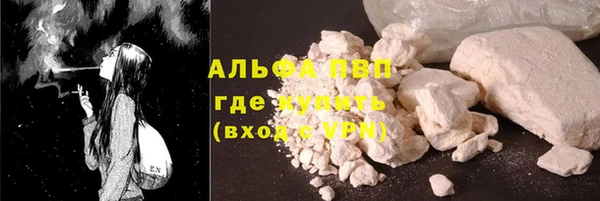 ешки Бородино