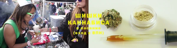 дурь Бронницы