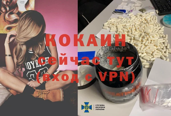 ешки Бородино