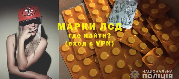 ешки Бородино