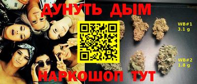 spice Гай