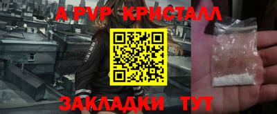spice Гай