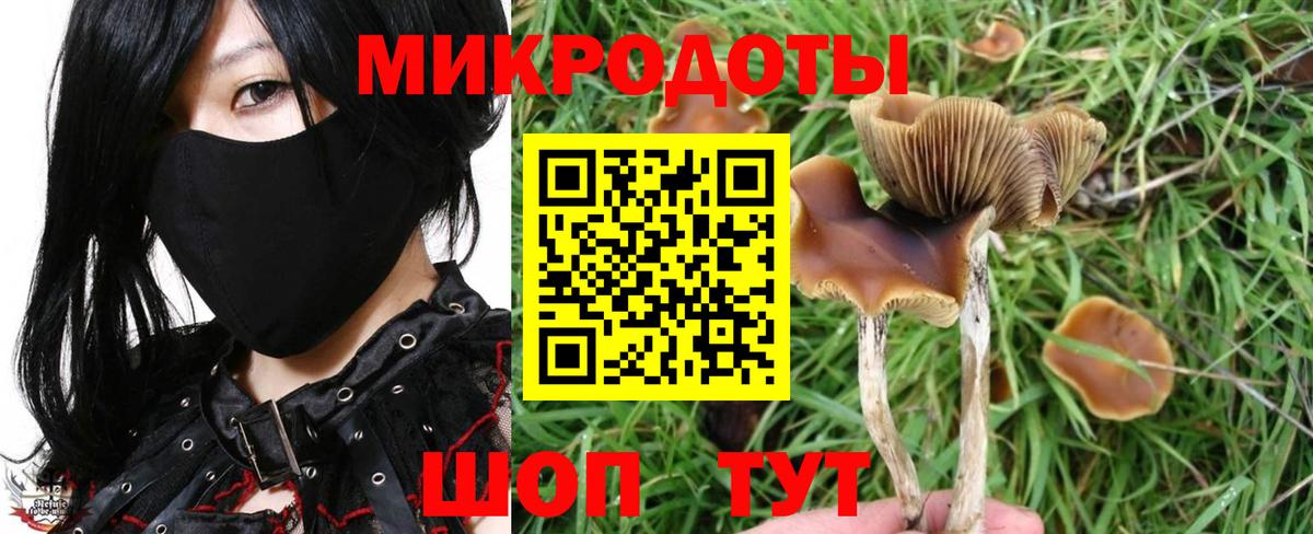 Галлюциногенные грибы MAGIC MUSHROOMS  Вход с VPN  Псилоцибиновые грибы Magic Shrooms  Иваново 